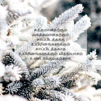 Picture 07 - லேவியராகமம் 11:46 TAMIRV - சுத்தமானதற்கும் - Bible Verse Picture