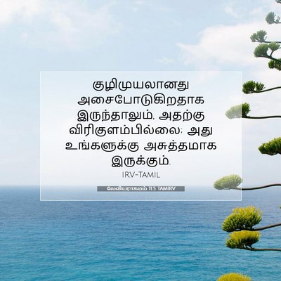 Picture 07 - லேவியராகமம் 11:5 TAMIRV - குழிமுயலானது - Bible Verse Picture