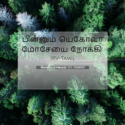Picture 07 - லேவியராகமம் 12:1 TAMIRV - பின்னும் யெகோவா - Bible Verse Picture