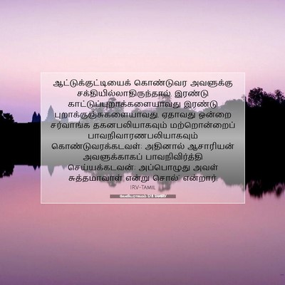 Picture 07 - லேவியராகமம் 12:8 TAMIRV -  - Bible Verse Picture