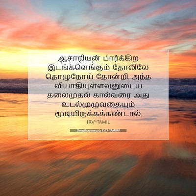 Picture 07 - லேவியராகமம் 13:12 TAMIRV - ஆசாரியன் - Bible Verse Picture