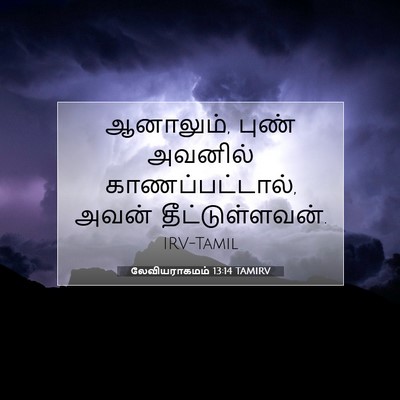 Picture 07 - லேவியராகமம் 13:14 TAMIRV - ஆனாலும், புண் - Bible Verse Picture