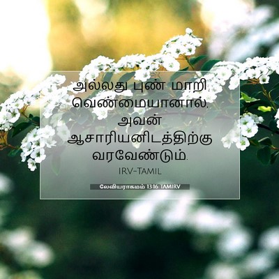 Picture 07 - லேவியராகமம் 13:16 TAMIRV - அல்லது புண் மாறி - Bible Verse Picture