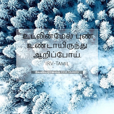 Picture 07 - லேவியராகமம் 13:18 TAMIRV - “உடலின்மேல் புண் - Bible Verse Picture
