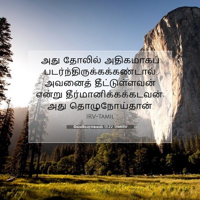 Picture 07 - லேவியராகமம் 13:22 TAMIRV - அது தோலில் - Bible Verse Picture