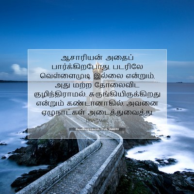 Picture 07 - லேவியராகமம் 13:26 TAMIRV - ஆசாரியன் அதைப் - Bible Verse Picture