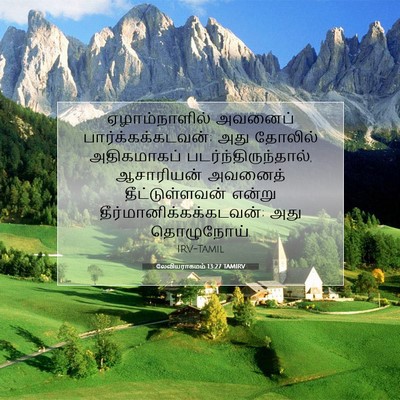 Picture 07 - லேவியராகமம் 13:27 TAMIRV - ஏழாம்நாளில் - Bible Verse Picture