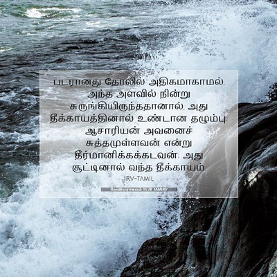 Picture 07 - லேவியராகமம் 13:28 TAMIRV - படரானது தோலில் - Bible Verse Picture