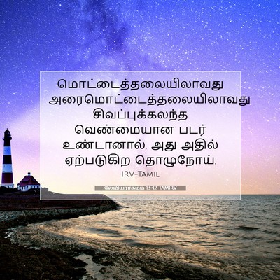 Picture 07 - லேவியராகமம் 13:42 TAMIRV -  - Bible Verse Picture