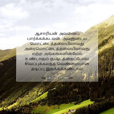 Picture 07 - லேவியராகமம் 13:43 TAMIRV - ஆசாரியன் அவனைப் - Bible Verse Picture