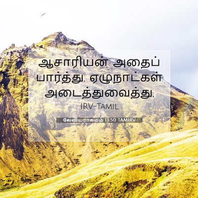 Picture 07 - லேவியராகமம் 13:50 TAMIRV - ஆசாரியன் அதைப் - Bible Verse Picture