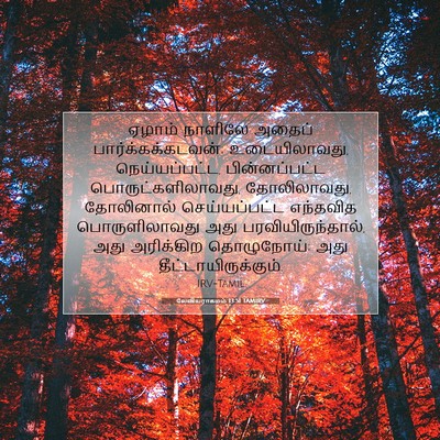 Picture 07 - லேவியராகமம் 13:51 TAMIRV - ஏழாம் நாளிலே - Bible Verse Picture