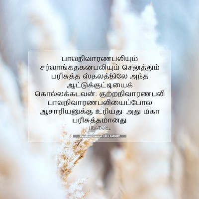 Picture 07 - லேவியராகமம் 14:13 TAMIRV - பாவநிவாரணபலியும் - Bible Verse Picture