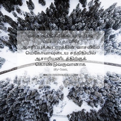 Picture 07 - லேவியராகமம் 14:23 TAMIRV - தான் - Bible Verse Picture
