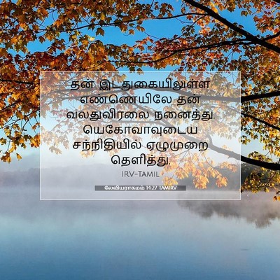 Picture 07 - லேவியராகமம் 14:27 TAMIRV - தன் இடதுகையிலுள்ள - Bible Verse Picture