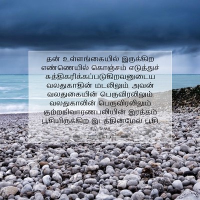 Picture 07 - லேவியராகமம் 14:28 TAMIRV - தன் உள்ளங்கையில் - Bible Verse Picture