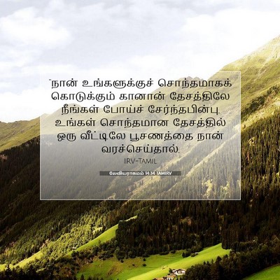Picture 07 - லேவியராகமம் 14:34 TAMIRV - “நான் - Bible Verse Picture