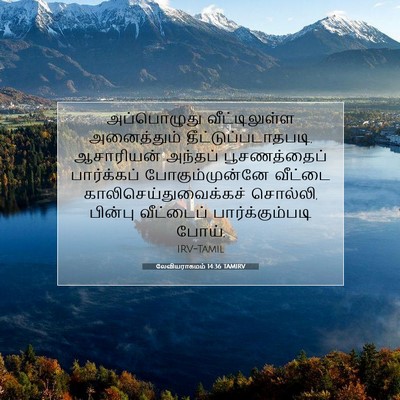 Picture 07 - லேவியராகமம் 14:36 TAMIRV - அப்பொழுது - Bible Verse Picture