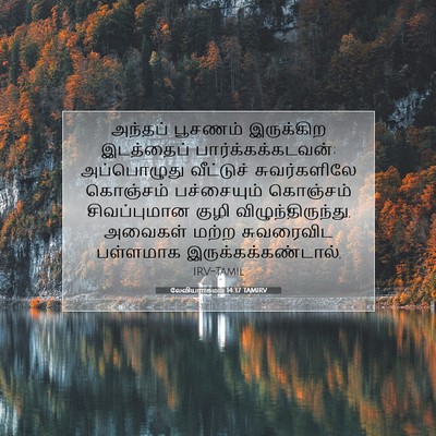 Picture 07 - லேவியராகமம் 14:37 TAMIRV - அந்தப் பூசணம் - Bible Verse Picture