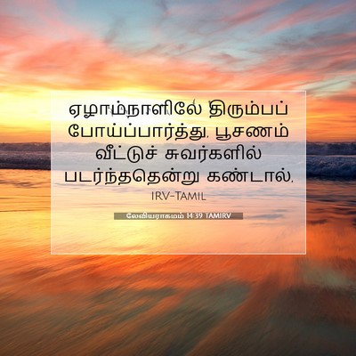 Picture 07 - லேவியராகமம் 14:39 TAMIRV - ஏழாம்நாளிலே - Bible Verse Picture