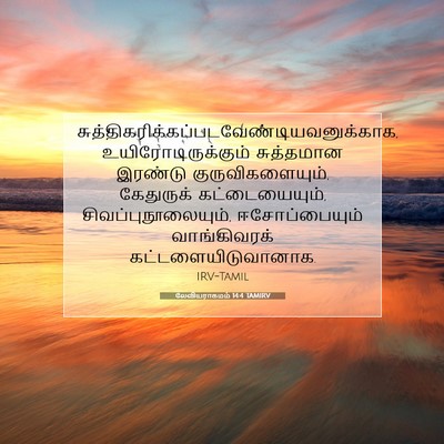 Picture 07 - லேவியராகமம் 14:4 TAMIRV -  - Bible Verse Picture
