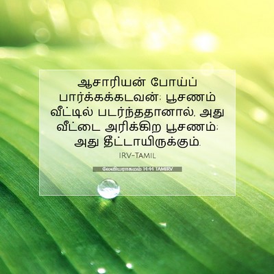 Picture 07 - லேவியராகமம் 14:44 TAMIRV - ஆசாரியன் போய்ப் - Bible Verse Picture
