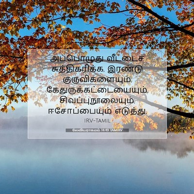 Picture 07 - லேவியராகமம் 14:49 TAMIRV - அப்பொழுது - Bible Verse Picture