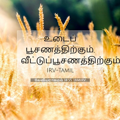 Picture 07 - லேவியராகமம் 14:55 TAMIRV - உடைப் - Bible Verse Picture