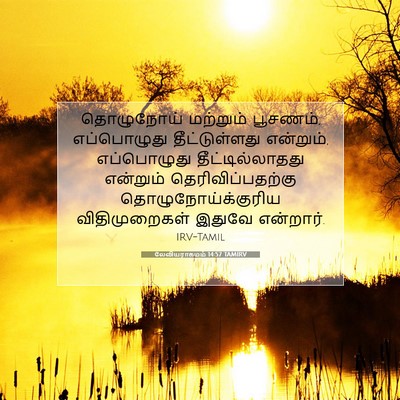 Picture 07 - லேவியராகமம் 14:57 TAMIRV - தொழுநோய் மற்றும் - Bible Verse Picture