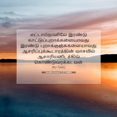 Picture 07 - லேவியராகமம் 15:29 TAMIRV - எட்டாம்நாளிலே - Bible Verse Picture