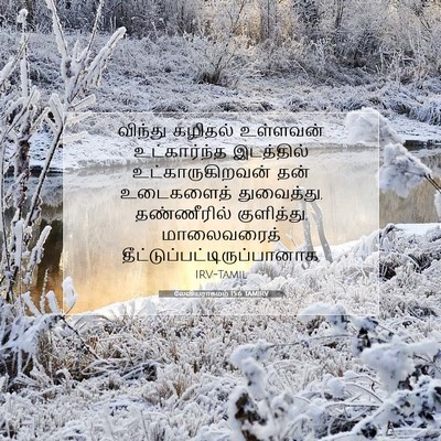 Picture 07 - லேவியராகமம் 15:6 TAMIRV - விந்து கழிதல் - Bible Verse Picture