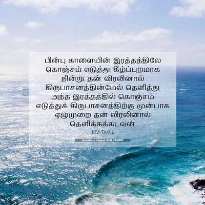Picture 07 - லேவியராகமம் 16:14 TAMIRV - பின்பு காளையின் - Bible Verse Picture