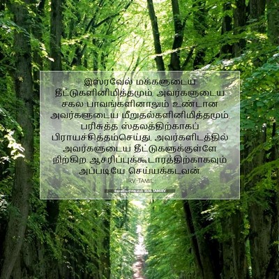 Picture 07 - லேவியராகமம் 16:16 TAMIRV - இஸ்ரவேல் - Bible Verse Picture