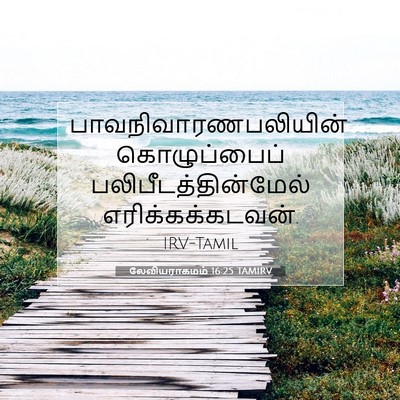 Picture 07 - லேவியராகமம் 16:25 TAMIRV - பாவநிவாரணபலியின் - Bible Verse Picture