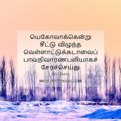 Picture 07 - லேவியராகமம் 16:9 TAMIRV - யெகோவாக்கென்று - Bible Verse Picture