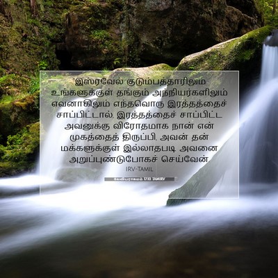 Picture 07 - லேவியராகமம் 17:10 TAMIRV - “இஸ்ரவேல் - Bible Verse Picture