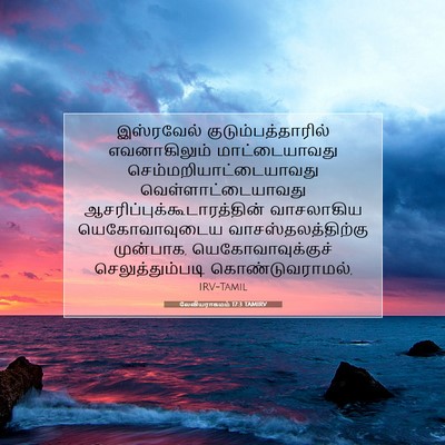Picture 07 - லேவியராகமம் 17:3 TAMIRV - இஸ்ரவேல் - Bible Verse Picture