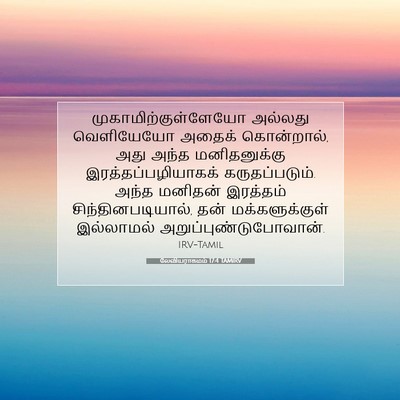 Picture 07 - லேவியராகமம் 17:4 TAMIRV - முகாமிற்குள்ளேயோ - Bible Verse Picture