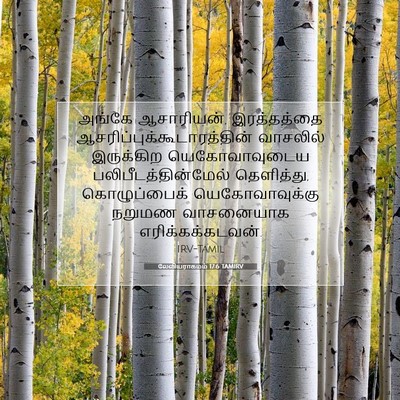 Picture 07 - லேவியராகமம் 17:6 TAMIRV - அங்கே ஆசாரியன், - Bible Verse Picture