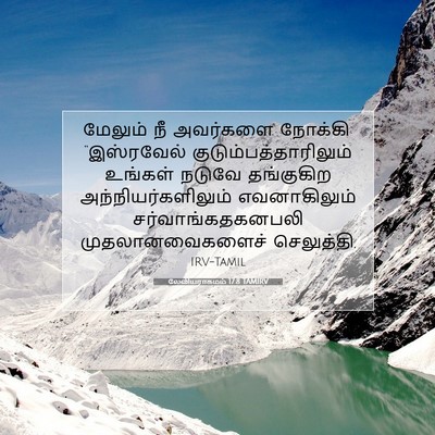 Picture 07 - லேவியராகமம் 17:8 TAMIRV - மேலும் நீ அவர்களை - Bible Verse Picture