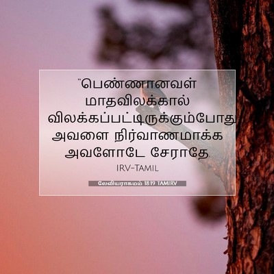 Picture 07 - லேவியராகமம் 18:19 TAMIRV - “பெண்ணானவள் - Bible Verse Picture