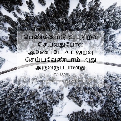 Picture 07 - லேவியராகமம் 18:22 TAMIRV - பெண்ணோடு உடலுறவு - Bible Verse Picture