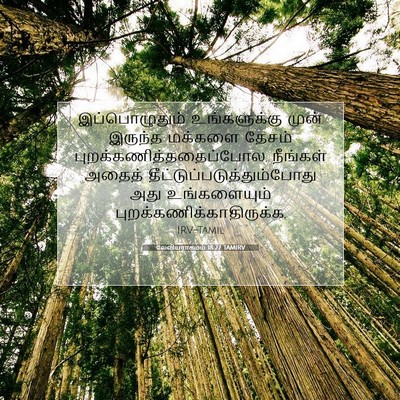 Picture 07 - லேவியராகமம் 18:27 TAMIRV - இப்பொழுதும் - Bible Verse Picture