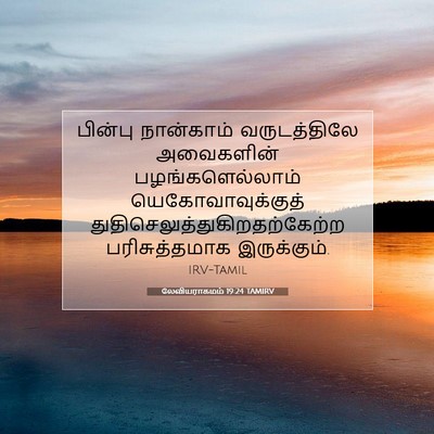 Picture 07 - லேவியராகமம் 19:24 TAMIRV - பின்பு நான்காம் - Bible Verse Picture