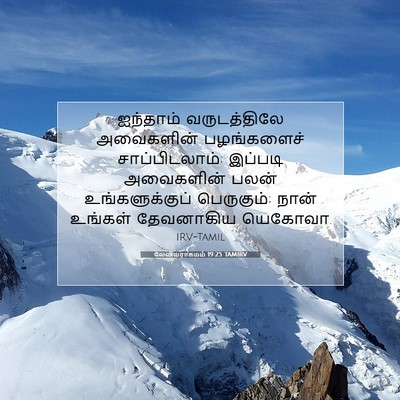 Picture 07 - லேவியராகமம் 19:25 TAMIRV - ஐந்தாம் - Bible Verse Picture