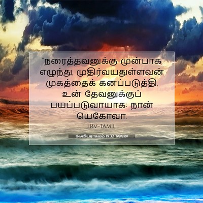 Picture 07 - லேவியராகமம் 19:32 TAMIRV - “நரைத்தவனுக்கு - Bible Verse Picture