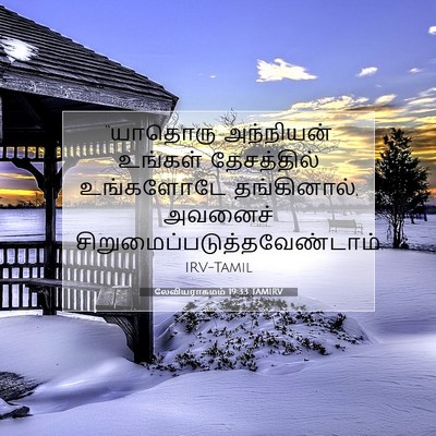 Picture 07 - லேவியராகமம் 19:33 TAMIRV - “யாதொரு அந்நியன் - Bible Verse Picture