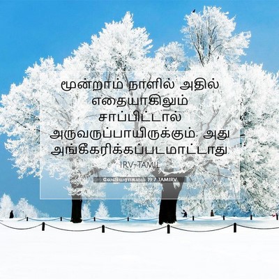 Picture 07 - லேவியராகமம் 19:7 TAMIRV - மூன்றாம் நாளில் - Bible Verse Picture