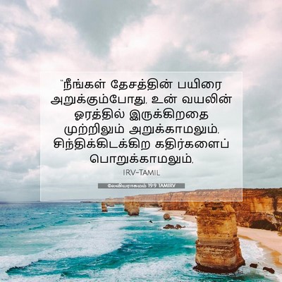 Picture 07 - லேவியராகமம் 19:9 TAMIRV - “நீங்கள் - Bible Verse Picture