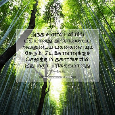 Picture 07 - லேவியராகமம் 2:10 TAMIRV - இந்த உணவுபலியில் - Bible Verse Picture